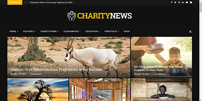 Wordpress Charity Demo Theme Website